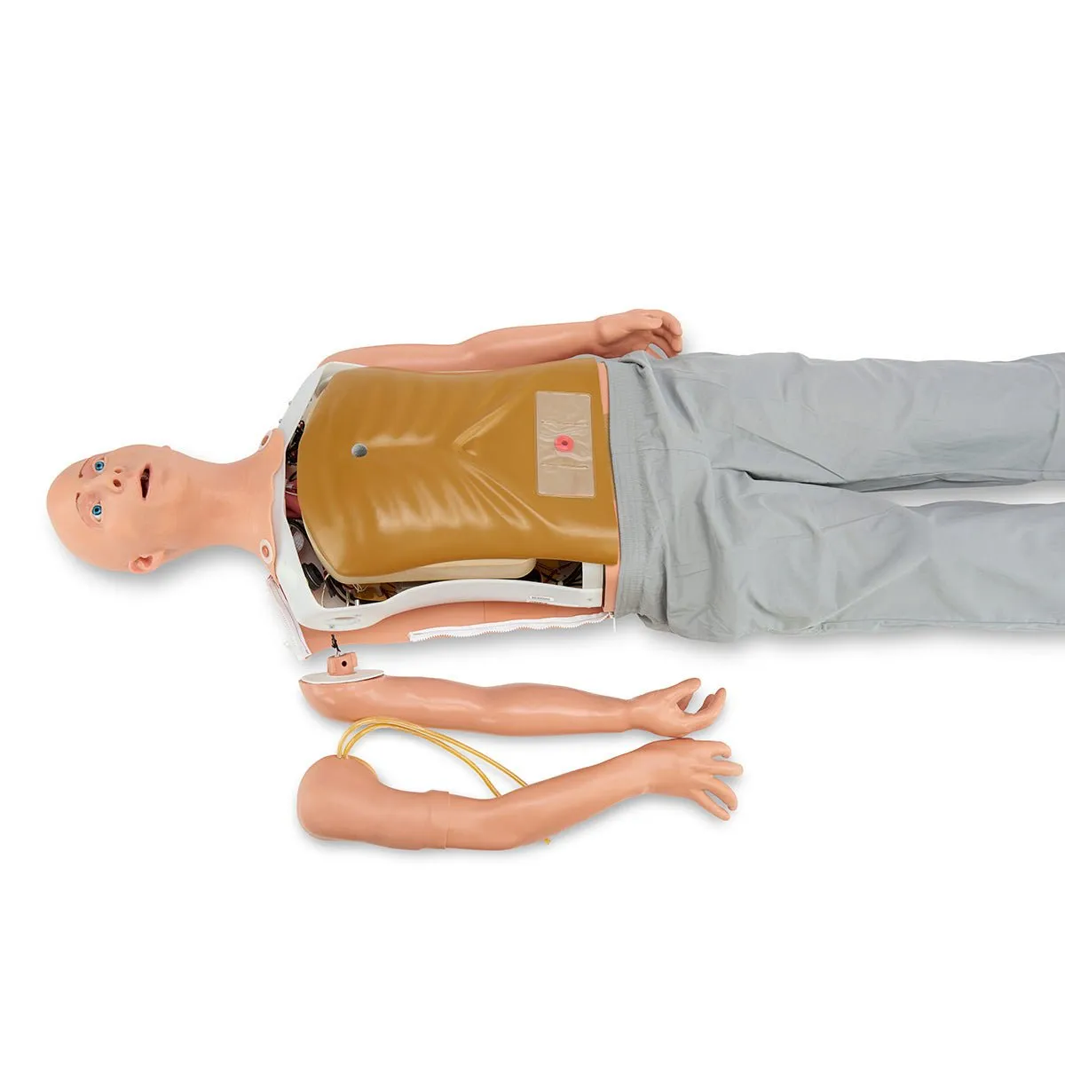 Axel, Patient Simulator With Built-in Microphone and Speakers