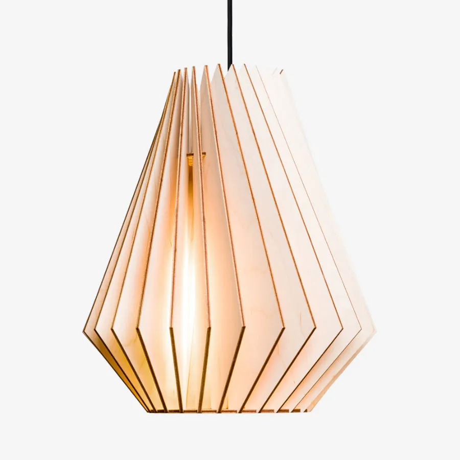 HEKTOR Pendant Light