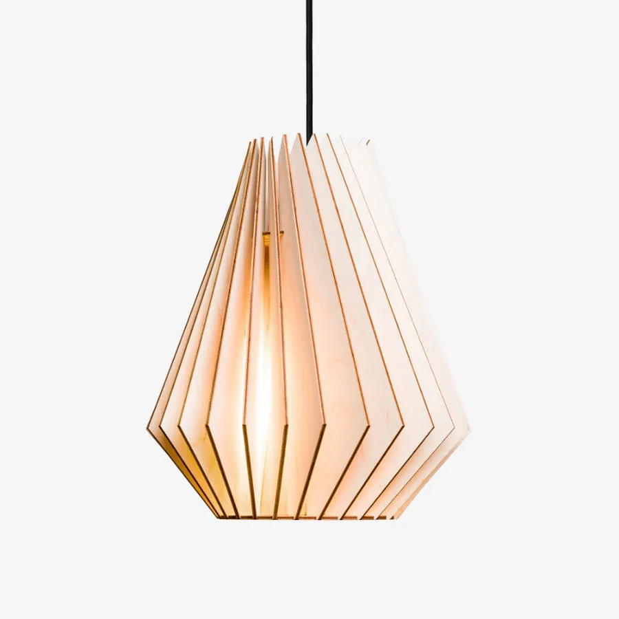 HEKTOR Pendant Light