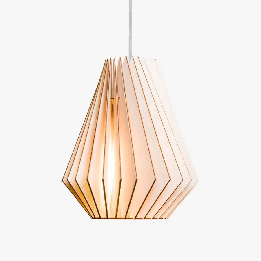 HEKTOR Pendant Light