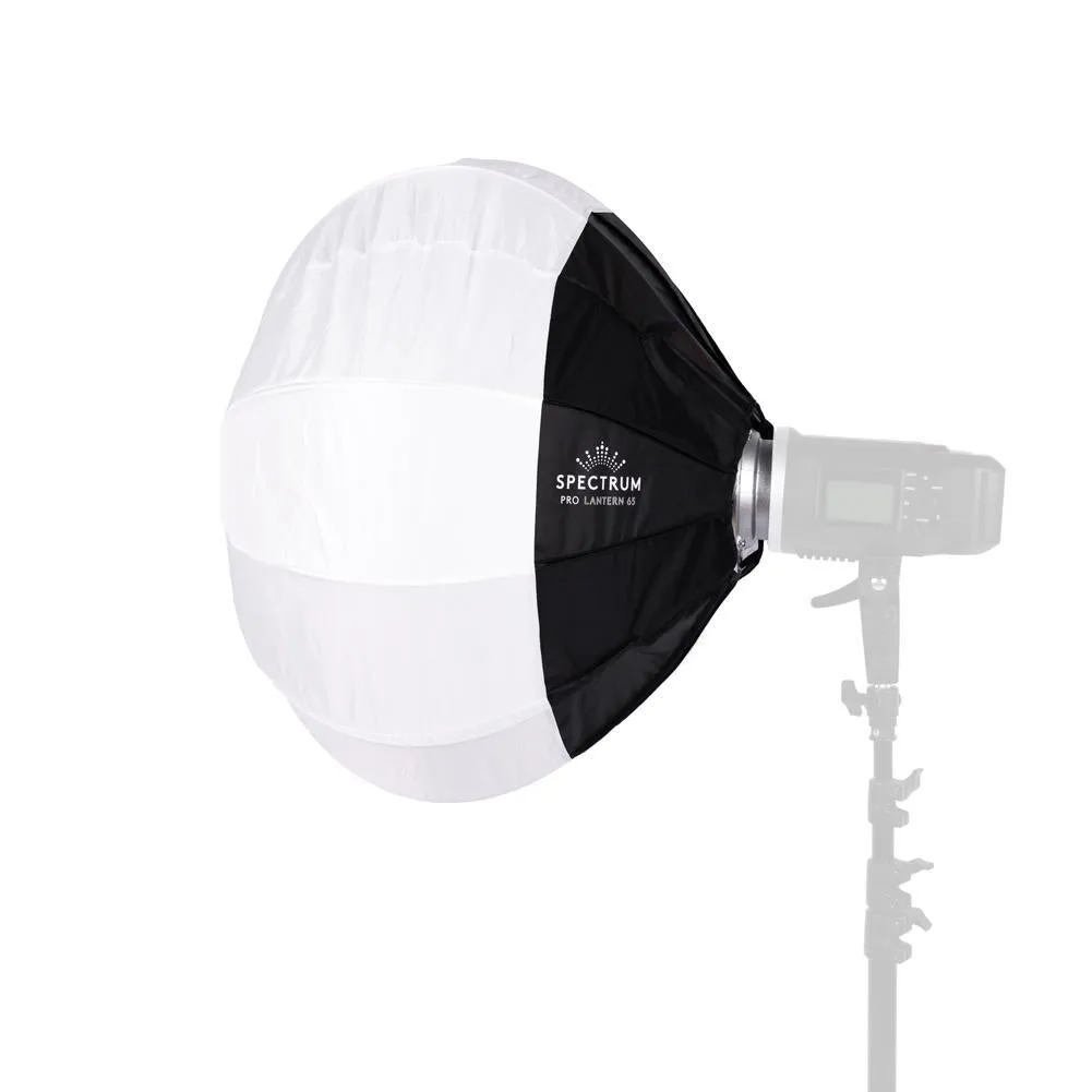 Newborn & Portrait Photography Studio Continuous LED Lighting Kit