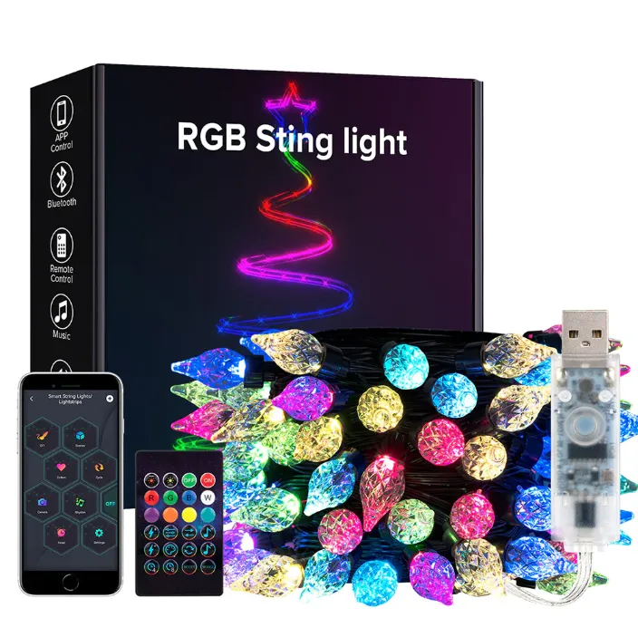 USB Christmas String Light Bluetooth Music APP Remote DC5V WS2812B Party Wedding Garden Backyard Star Rugby Strawberries